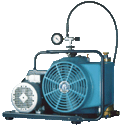 Junior II